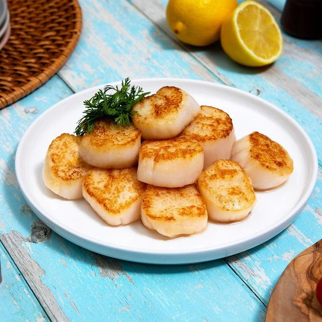 Large Dry Dayboat Scallops Pack of 10